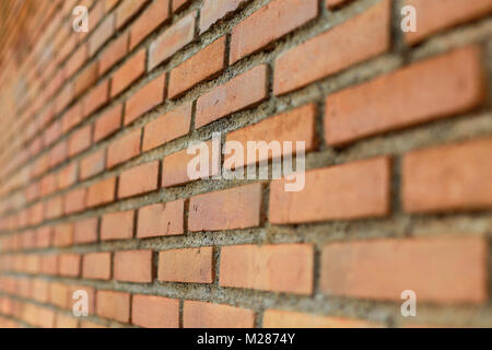 A simple shot from my surround environment that amaze me with it`s beauty Stock Photo
